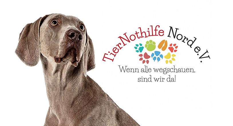 Tiernothilfe Nord e.V.