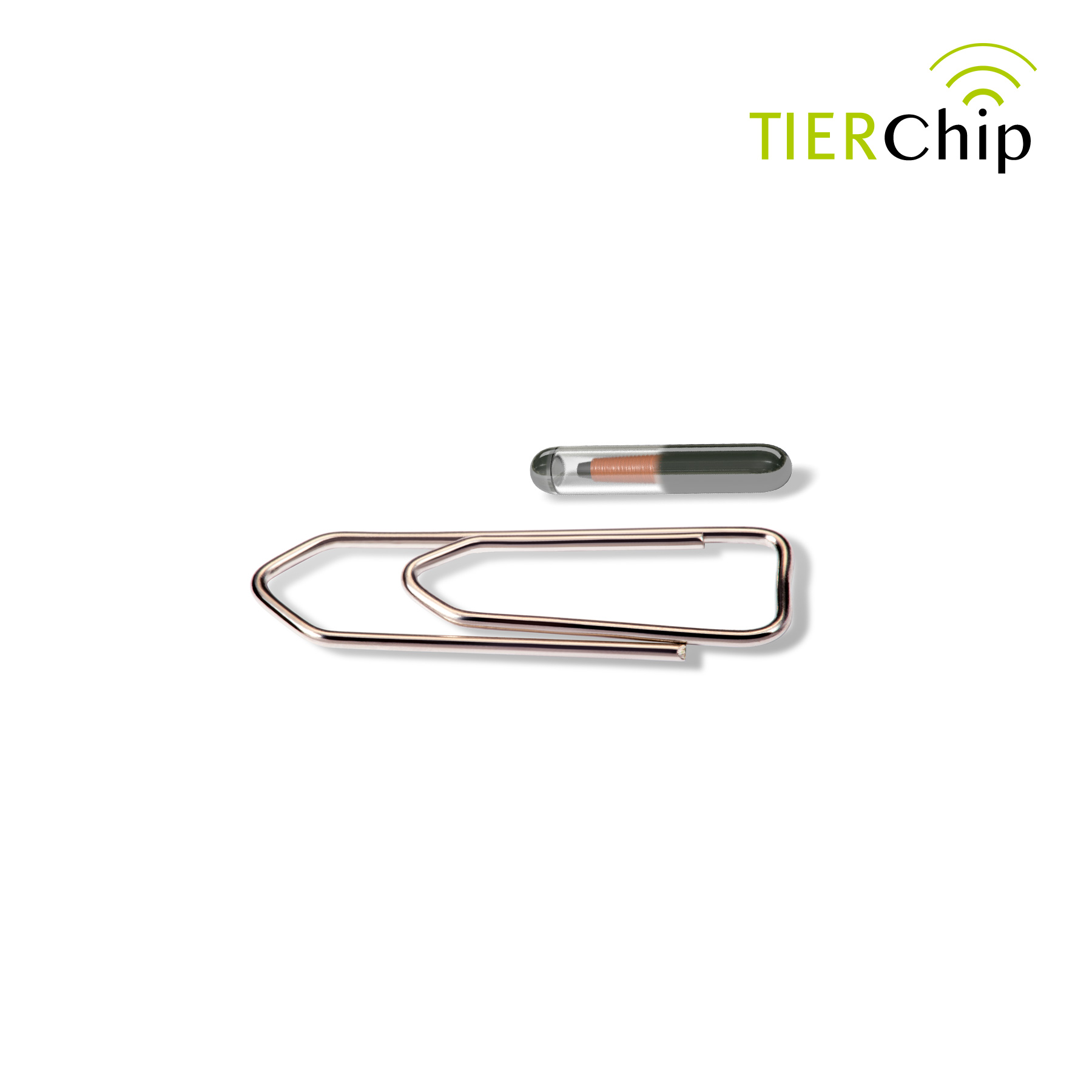 TIERCHIP Mini ISO-Transponder im Größenvergleich mit Büroklammer